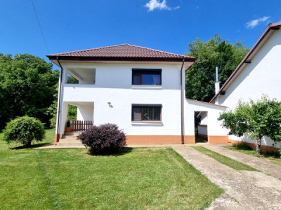Vanzare casa-vila cu 5 camere si teren 3700 mp Plopu -Galmeia