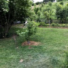 Vanzare casa-vila cu 5 camere si teren 3700 mp Plopu -Galmeia thumb 45