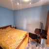 Vanzare apartament 2 camere renovat in zona Vest thumb 7