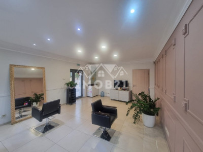 Inchiriere Spatiu comercial in Vila Tudor Vladimirescu