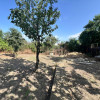 Vanzare casa cu teren 600mp in Ploiesti  Strada Pielari thumb 17