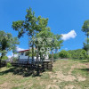   Vanzare Casa-vila 4 camere in zona Soimari- Prahova thumb 23