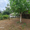 vanzare casa Urziceni thumb 43