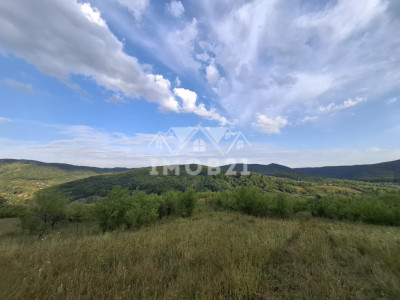 Teren spectaculos cu padure, livada si priveliste panoramica in Soimari PH