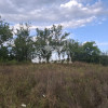 Teren spectaculos cu padure, livada si priveliste panoramica in Soimari PH thumb 5