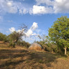 Teren spectaculos cu padure, livada si priveliste panoramica in Soimari PH thumb 2