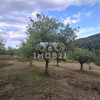 Teren spectaculos cu padure, livada si priveliste panoramica in Soimari PH thumb 4