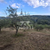 Teren spectaculos cu padure, livada si priveliste panoramica in Soimari PH thumb 11