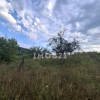 Teren spectaculos cu padure, livada si priveliste panoramica in Soimari PH thumb 14