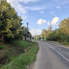 Teren spectaculos cu padure, livada si priveliste panoramica in Soimari PH thumb 16
