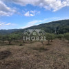 Teren spectaculos cu padure, livada si priveliste panoramica in Soimari PH thumb 10