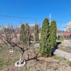 Vanzare casa-vila 6 camere 2010 in  Boldesti-Scaieni thumb 33