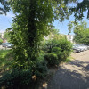 Apartament Ideal cu Două Camere, Preț Mic, Acte la Zi - Strada Domnișori imaginea mica 26 Apartament Ideal cu Două Camere, Preț Mic, Acte la Zi - Strada Domnișori thumb 26