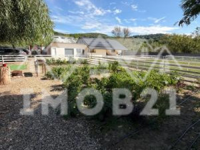 VANZARE Casa-vila cu teren generos si padure, Surani-Prahova